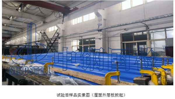 试验后样品实景图