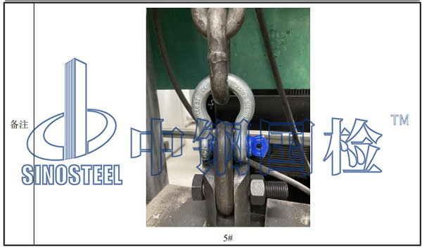 卸扣检测项目结果