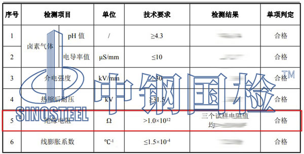 绝缘电阻检测项目结果