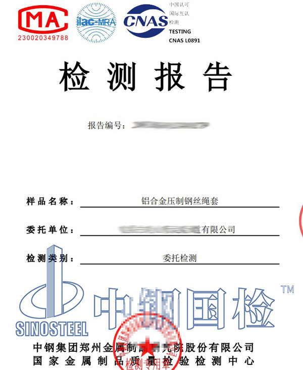 钢丝绳套检测报告