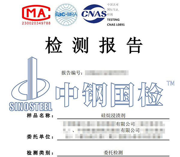 硅烷氯离子含量检测报告