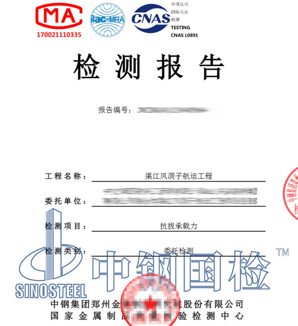 锚杆抗拔试验报告图片