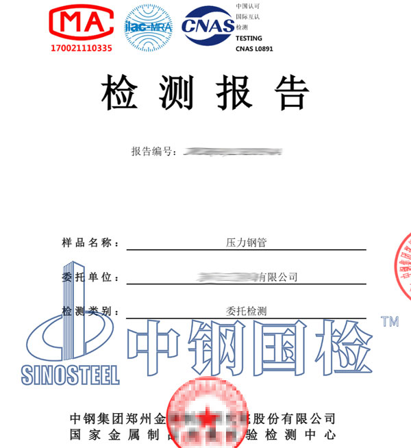 水电站压力钢管检测报告